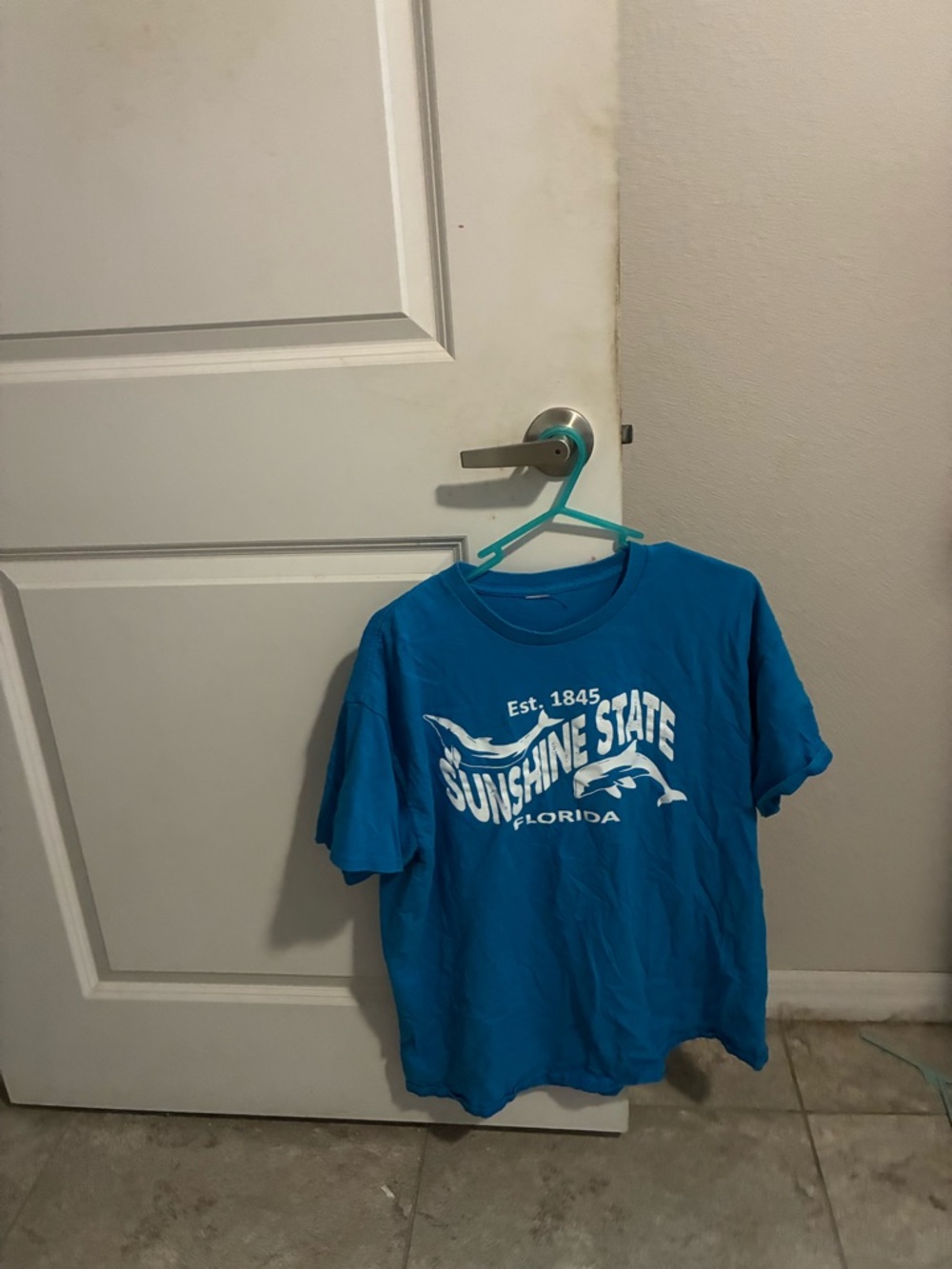 Bright Blue "Sunshine State Florida" Graphic Tee